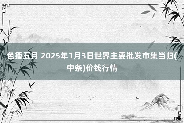 色播五月 2025年1月3日世界主要批发市集当归(中条)价钱行情