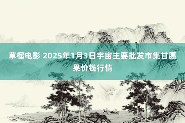 草榴电影 2025年1月3日宇宙主要批发市集甘愿果价钱行情