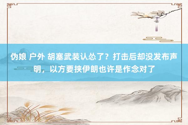 伪娘 户外 胡塞武装认怂了？打击后却没发布声明，以方要挟伊朗也许是作念对了