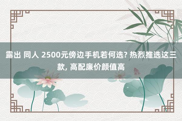 露出 同人 2500元傍边手机若何选? 热烈推选这三款， 高配廉价颜值高