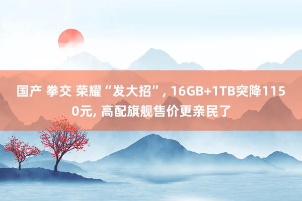 国产 拳交 荣耀“发大招”， 16GB+1TB突降1150元， 高配旗舰售价更亲民了