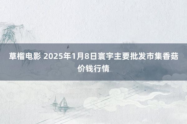 草榴电影 2025年1月8日寰宇主要批发市集香菇价钱行情