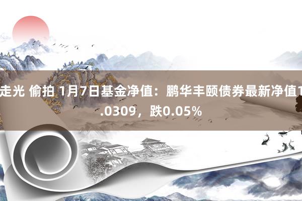 走光 偷拍 1月7日基金净值：鹏华丰颐债券最新净值1.0309，跌0.05%