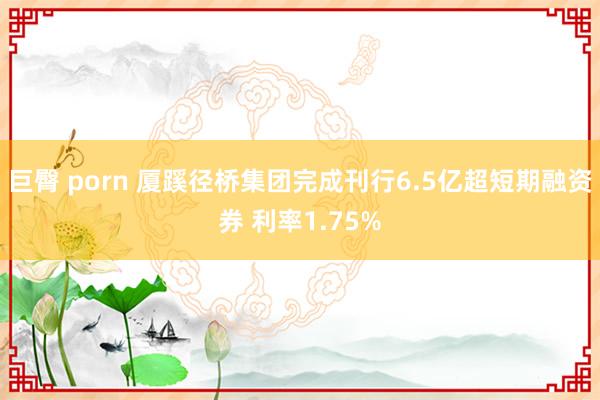 巨臀 porn 厦蹊径桥集团完成刊行6.5亿超短期融资券 利率1.75%