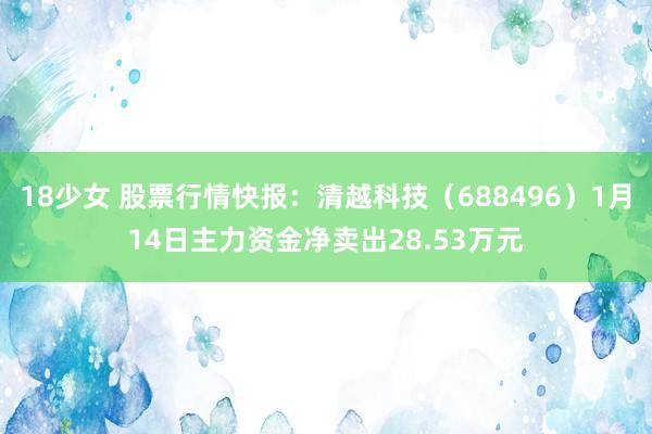 18少女 股票行情快报：清越科技（688496）1月14日主力资金净卖出28.53万元