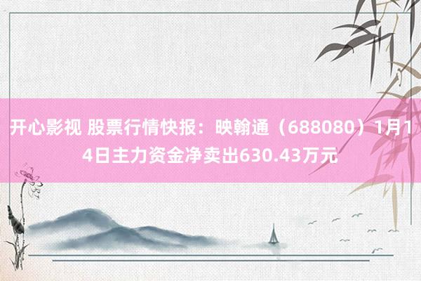 开心影视 股票行情快报：映翰通（688080）1月14日主力资金净卖出630.43万元